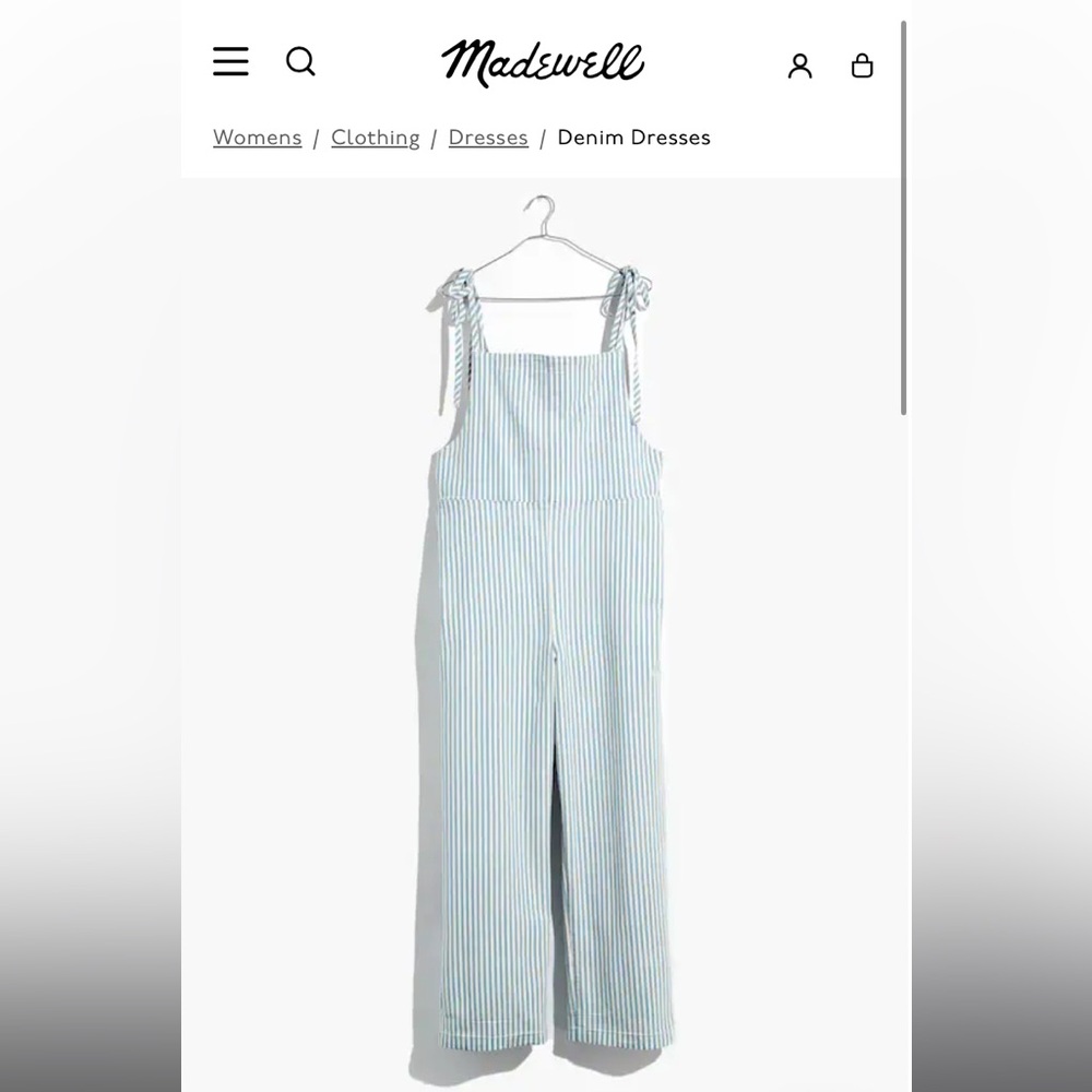 Madewell Blue and White Striped Jumpsuit